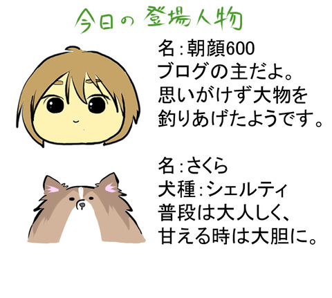 自己紹介C