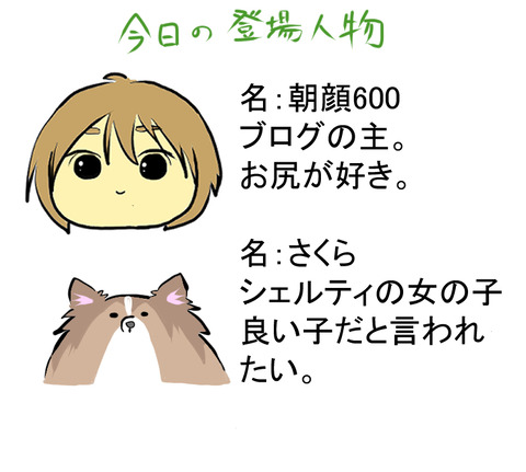 自己紹介C