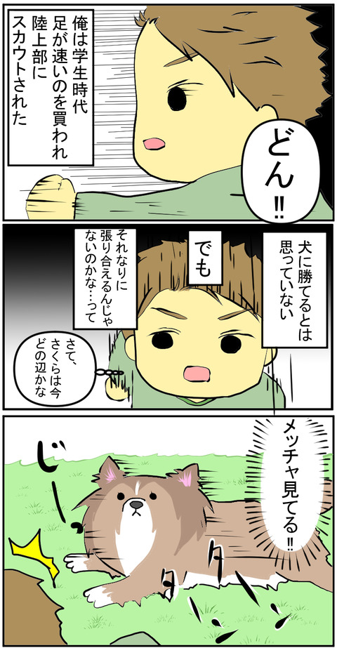 陸上部B