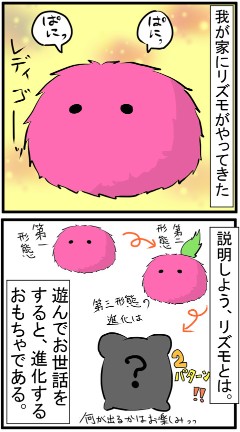 20201004A