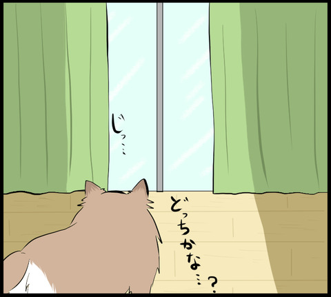 20201224E