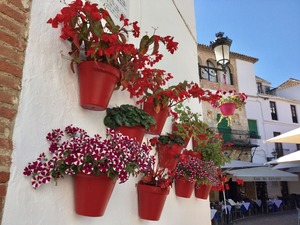 IMG_E0881