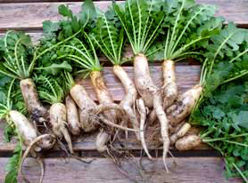 154224225_344341376811723_592587663273738193_n