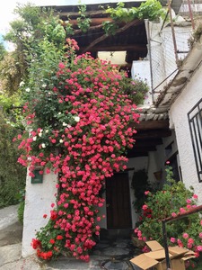 6673D82C-93D5-4498-BB9A-2DCF113A566C