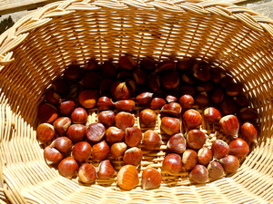 122889434_385894659436896_5610795113484287733_n