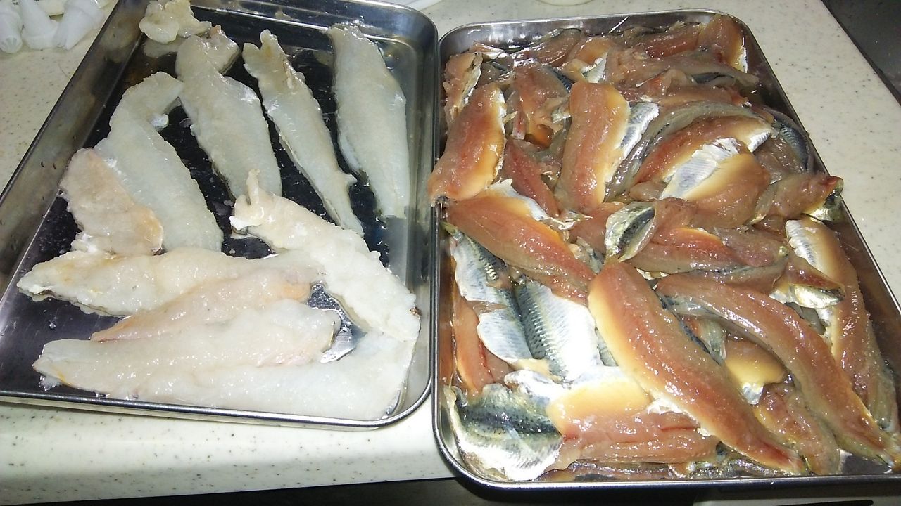 過去の釣果 釣り八分目のblog