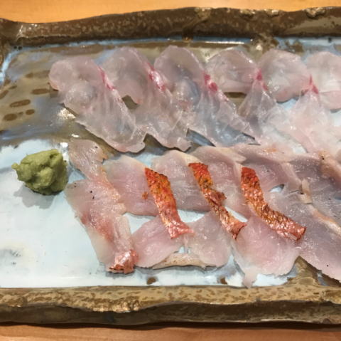 勝浦沖 マハタ 19 05 05 923の釣果blog
