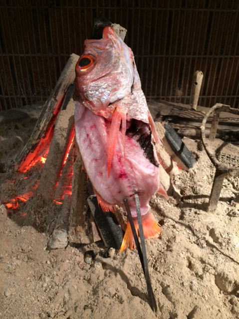 犬吠沖 アカムツ 18 04 28 923の釣果blog