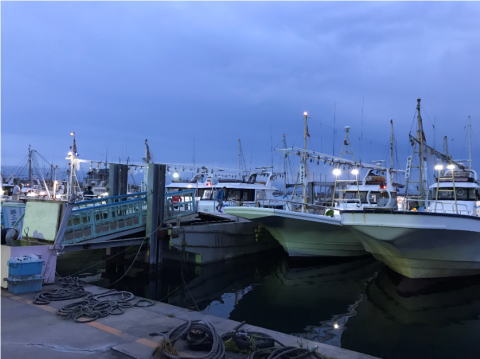 鹿嶋沖メヌケライト 19 06 23 923の釣果blog