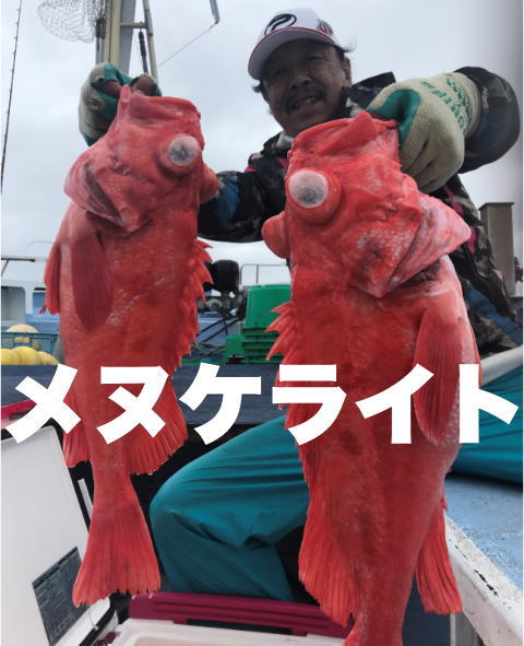 鹿嶋沖メヌケライト 19 06 23 923の釣果blog 鹿嶋沖メヌケライト 19 06 23 923の釣果blog