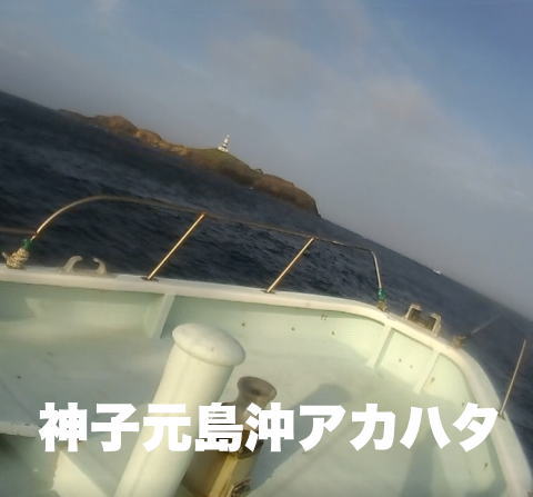 神子元沖 アカハタ 923の釣果blog 神子元沖 アカハタ 923の釣果blog