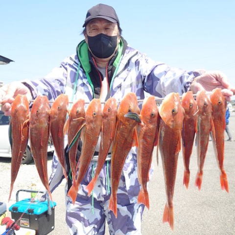 春のホウボウ釣りに行ってきました 923の釣果blog
