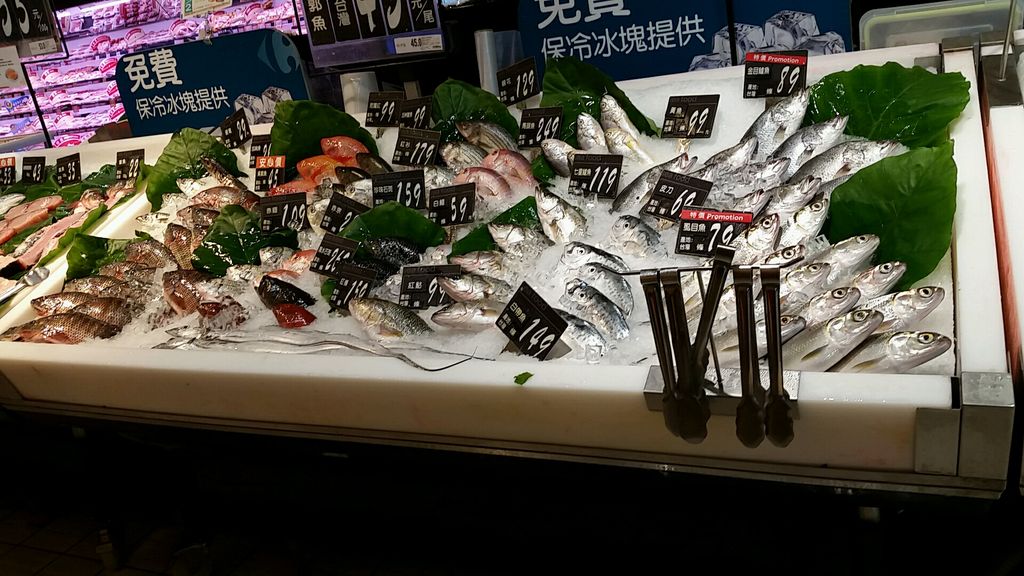 台湾にて 魚の漢字当てクイズ1 紙風船の 釣るか釣られるか 台湾にて 魚の漢字当てクイズ1 紙風船の 釣るか釣られるか
