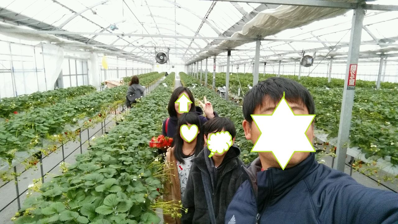 三木市 うららかのうえん 実里 でイチゴ狩りしてきました 紙風船の 釣るか釣られるか 三木市 うららかのうえん 実里 でイチゴ狩りしてきました 紙風船の 釣るか釣られるか