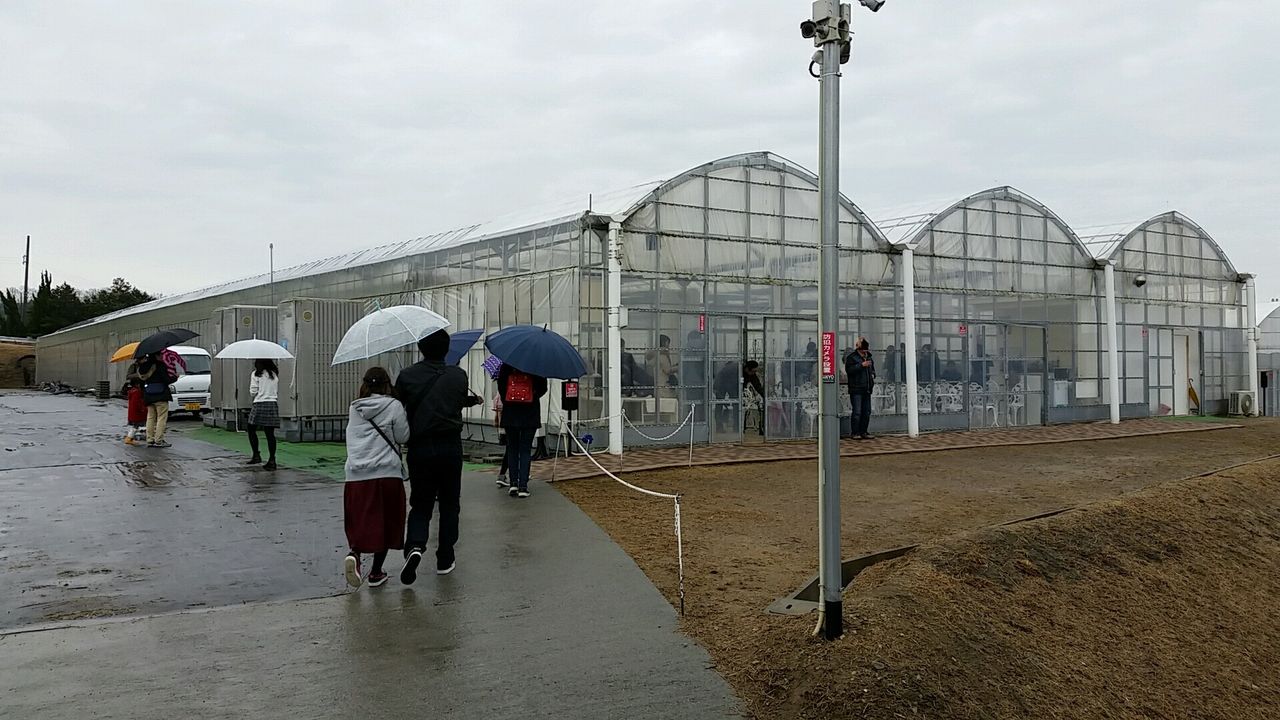 三木市 うららかのうえん 実里 でイチゴ狩りしてきました 紙風船の 釣るか釣られるか 三木市 うららかのうえん 実里 でイチゴ狩りしてきました 紙風船の 釣るか釣られるか