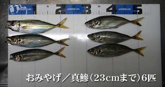 釣果（２）670pix