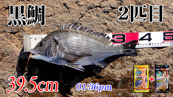 釣果(2)670