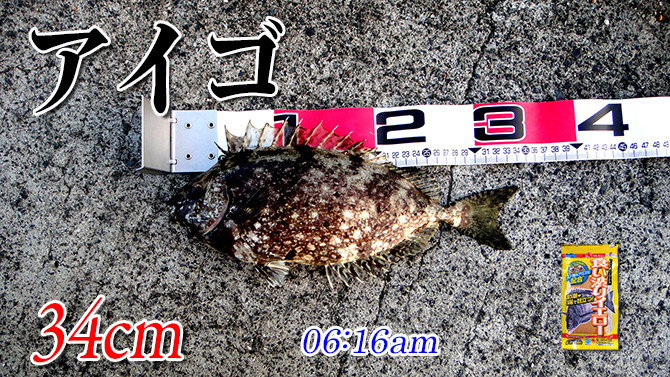 釣果01_670