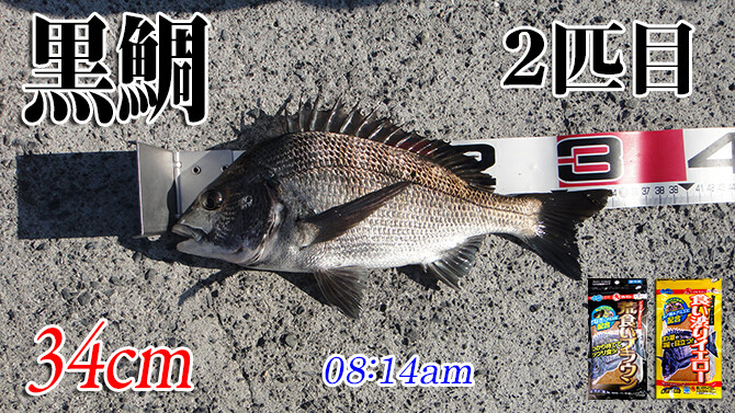 釣果(2)670