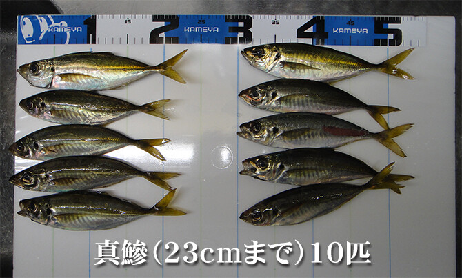 釣果（１）670pix