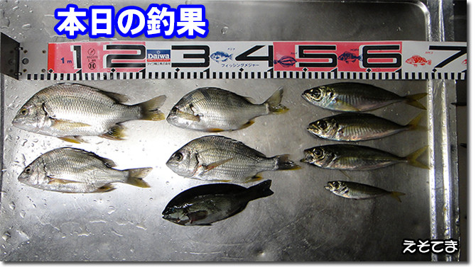 お持ち帰り670pix