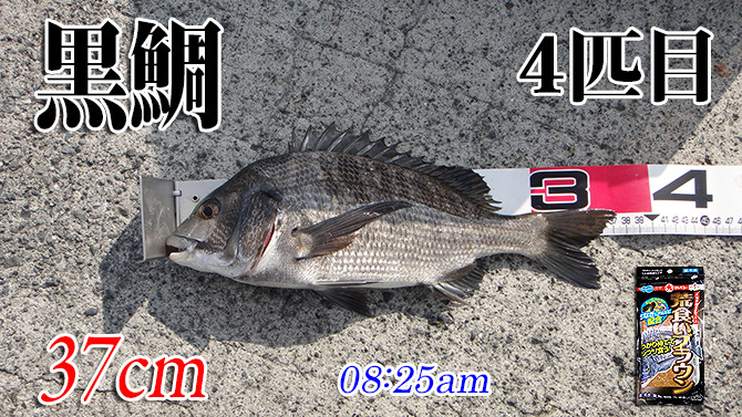 釣果(4)670