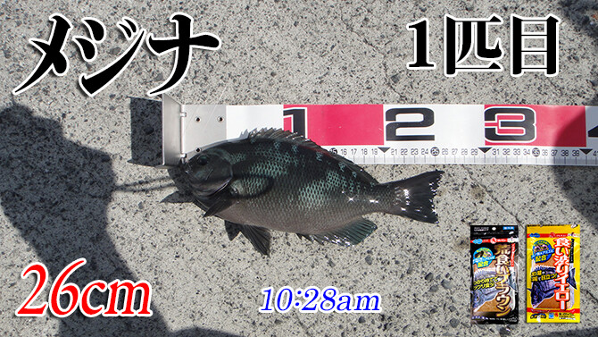 釣果(3)670