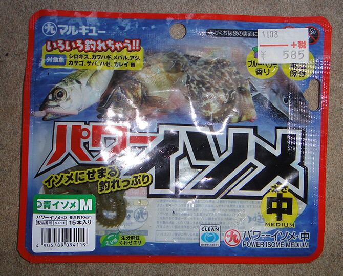 日本海の白鱚で刺身を作ってみた 日本海のシロギス釣り 006 ツリアルクアラウンド