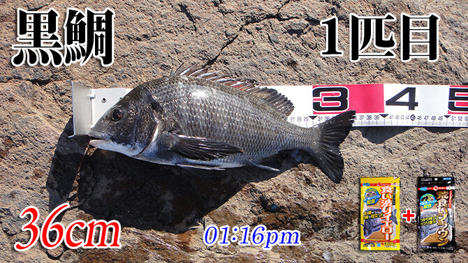 釣果(1)670