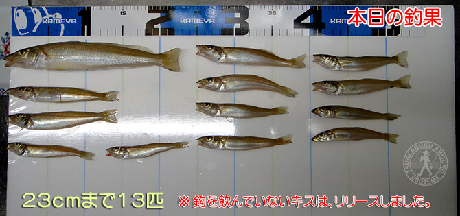 釣果（１）670pix