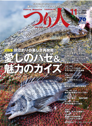 cover2016-11_02-2_sekiryo