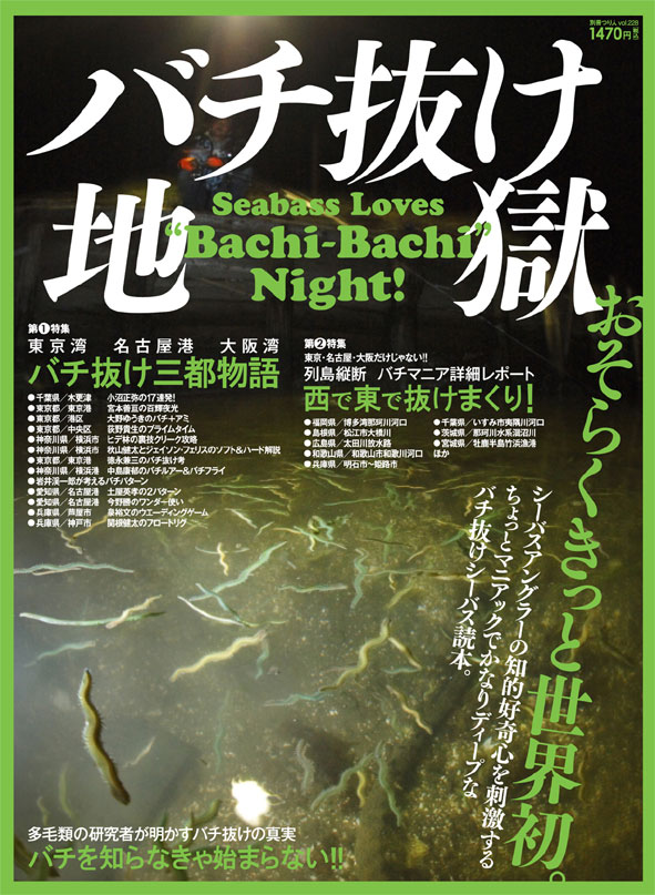 バチ抜け表紙