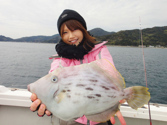 mippi_kawahagi