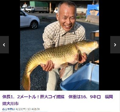 carp-news