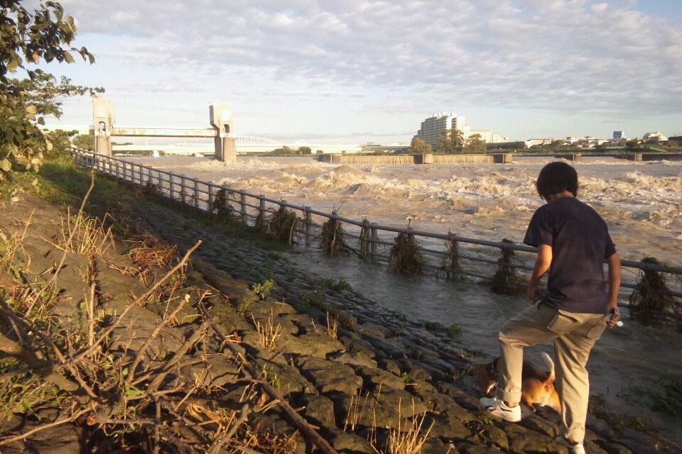 305866_168154649933769_100002177061257_358364_842439625_n