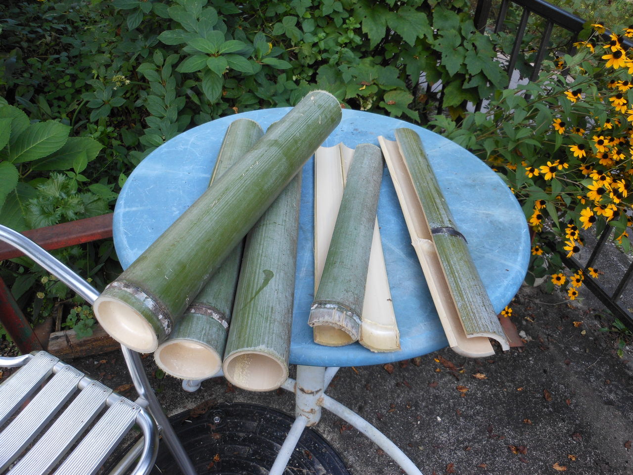 イワナの塩焼き用の竹串を新しく削りました 釣り堀 しらたに 塔の岩オートキャンプ場