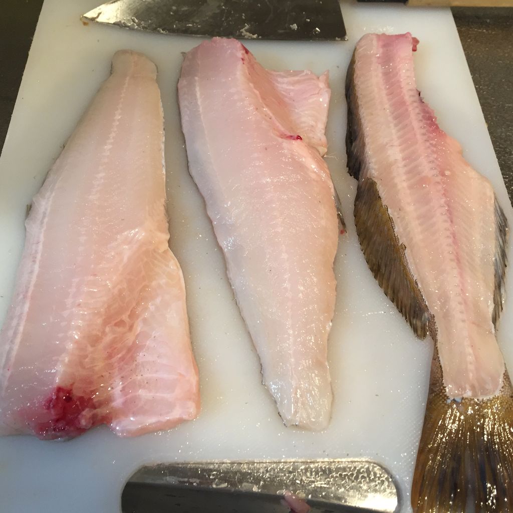 北海道釣りガール みなのブログ 北海道釣りガール みなのブログ