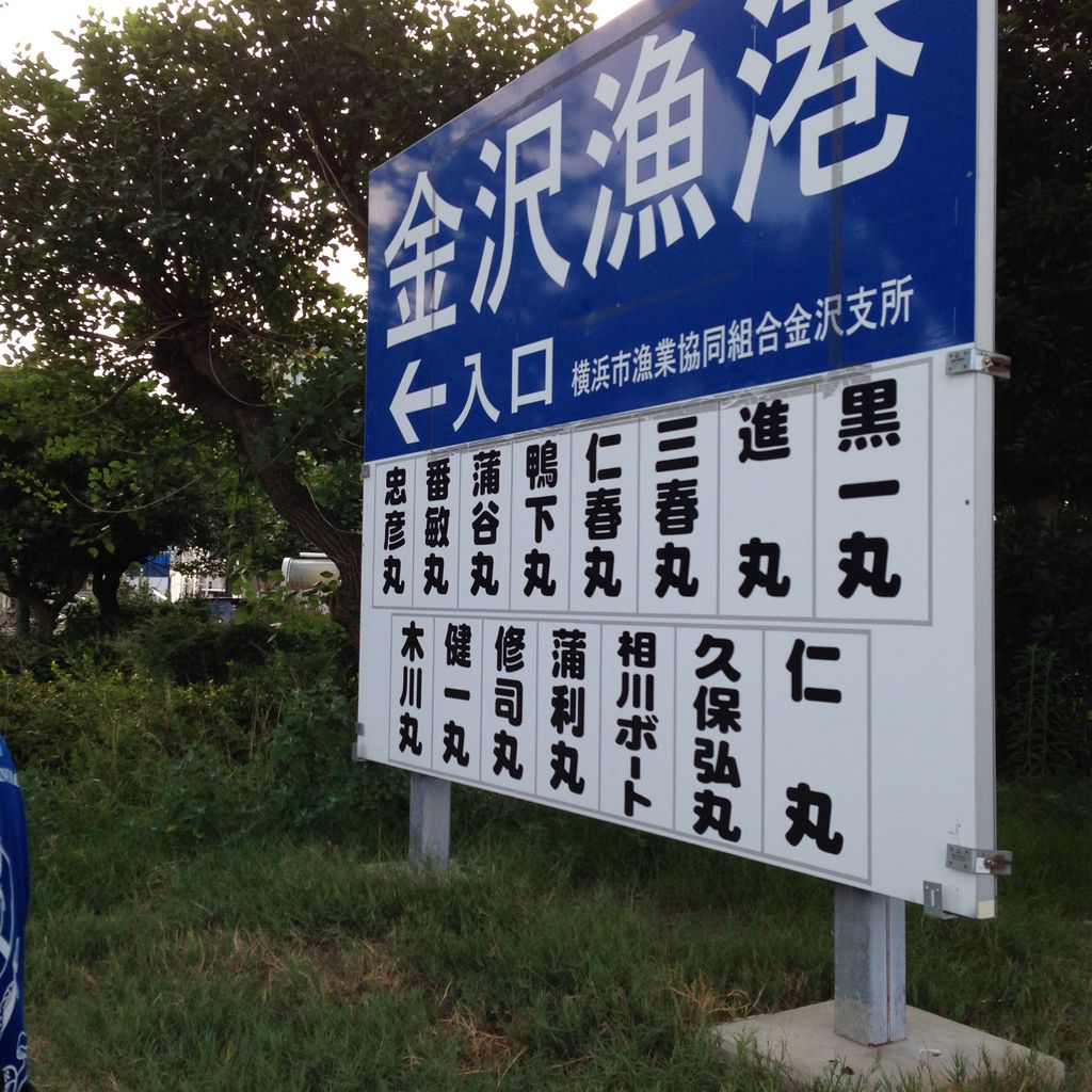 東京海洋大学 釣り研究同好会釣行ブログ ボートマゴチ
