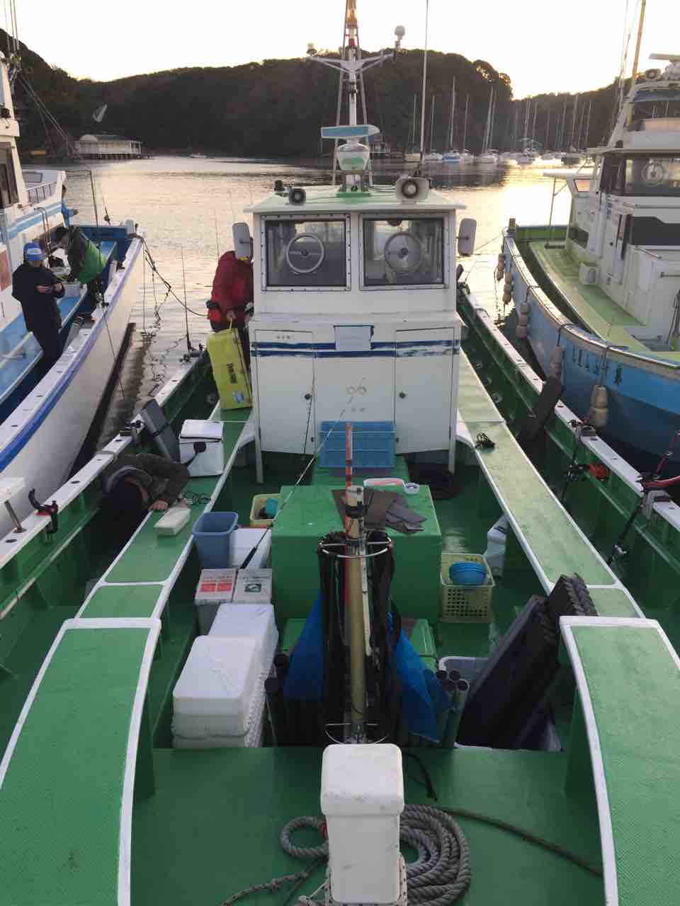そんなに揺らさないで なヤリイカ泳がせ 釣りができない週末なんて そんなに揺らさないで なヤリイカ泳がせ 釣りができない週末なんて