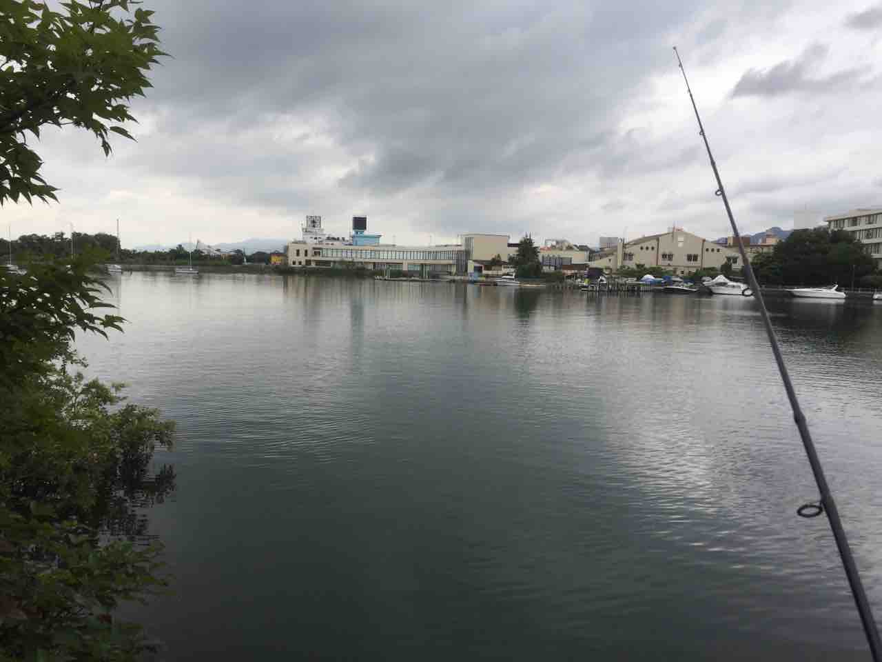 琵琶湖でスピニングタックルキャスト練習 釣りができない週末なんて 琵琶湖でスピニングタックルキャスト練習 釣りができない週末なんて