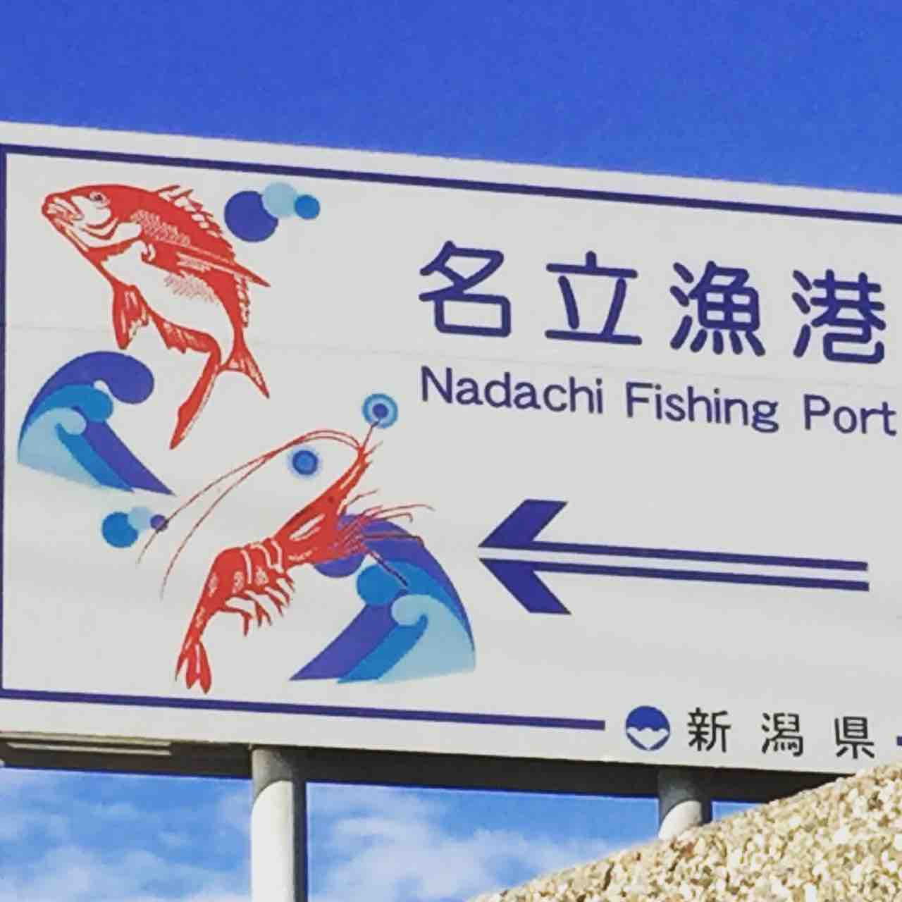往復600km走ってイカに逢いに行ってきた 出航編 釣りができない週末なんて