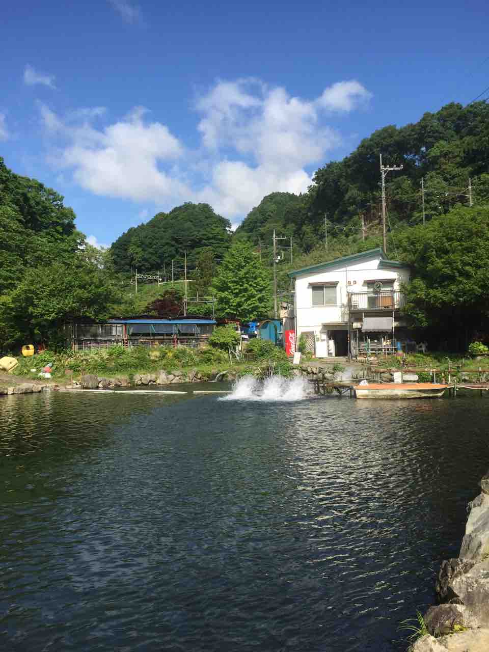 浅川 国際 マス 釣 場