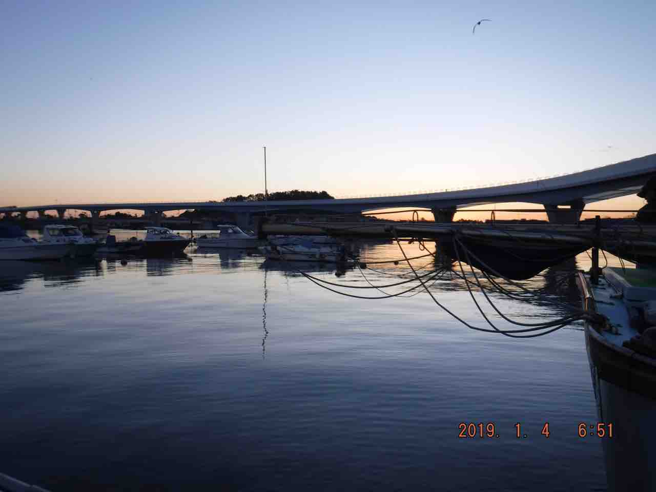 寒くて厳しい湾フグ しかしまさかの 野毛屋 釣りができない週末なんて