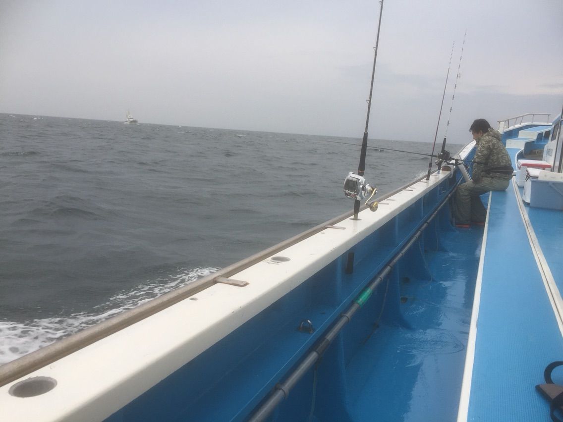 ヤリイカデビュー 小網代やまはち丸 釣りができない週末なんて