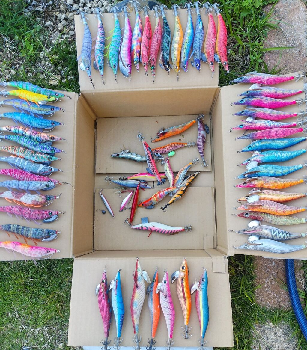 エギから見えてくること 飼育係の釣り日誌