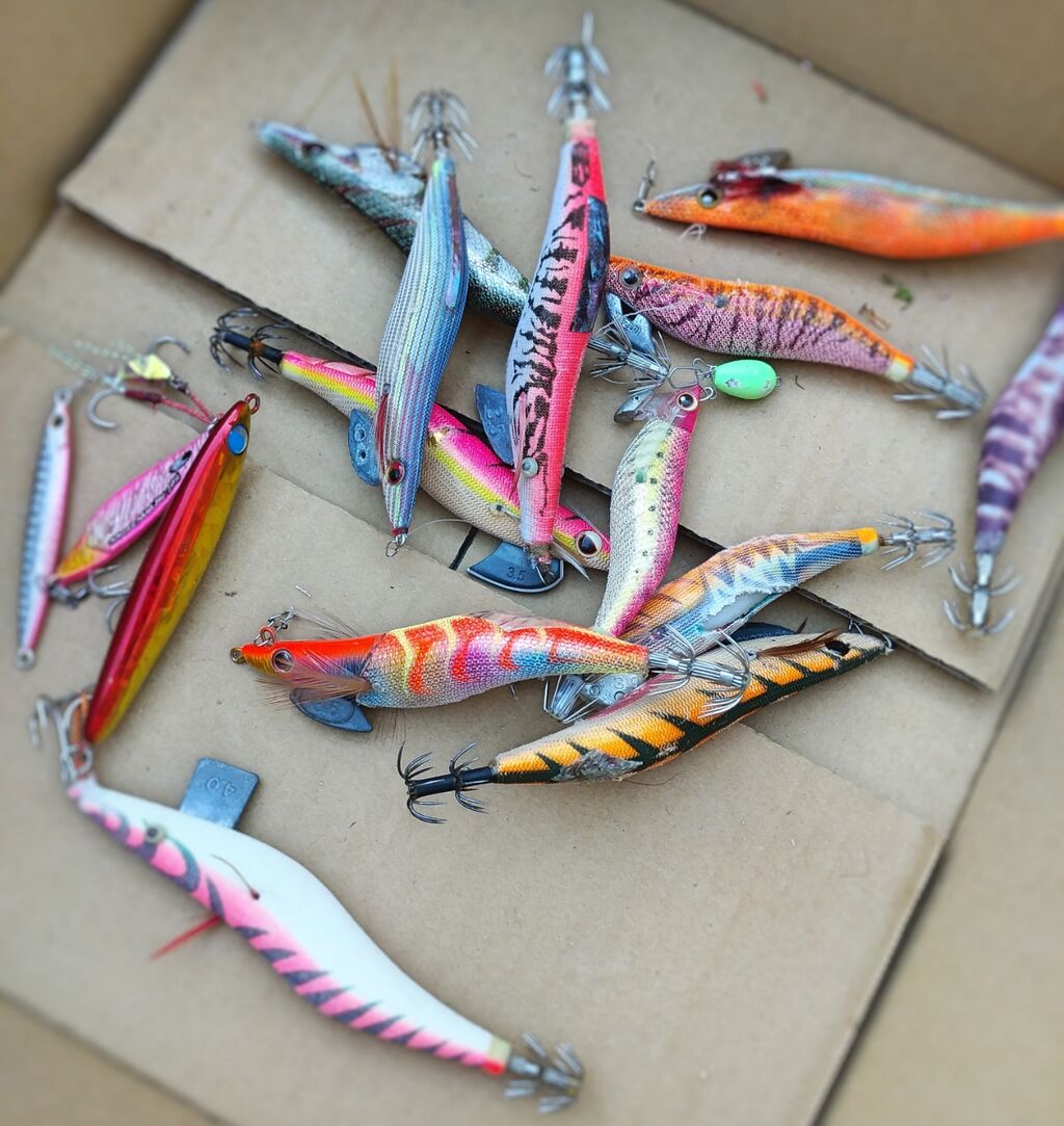 エギから見えてくること 飼育係の釣り日誌