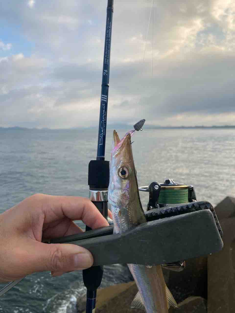 カマスと事故 飼育係の釣り日誌