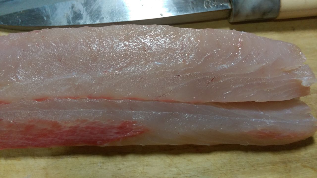 熟成 魚をおいしく食べよう ヒラマサ ラスト つりチクのウンチクblog 熟成 魚をおいしく食べよう ヒラマサ ラスト つりチクのウンチクblog