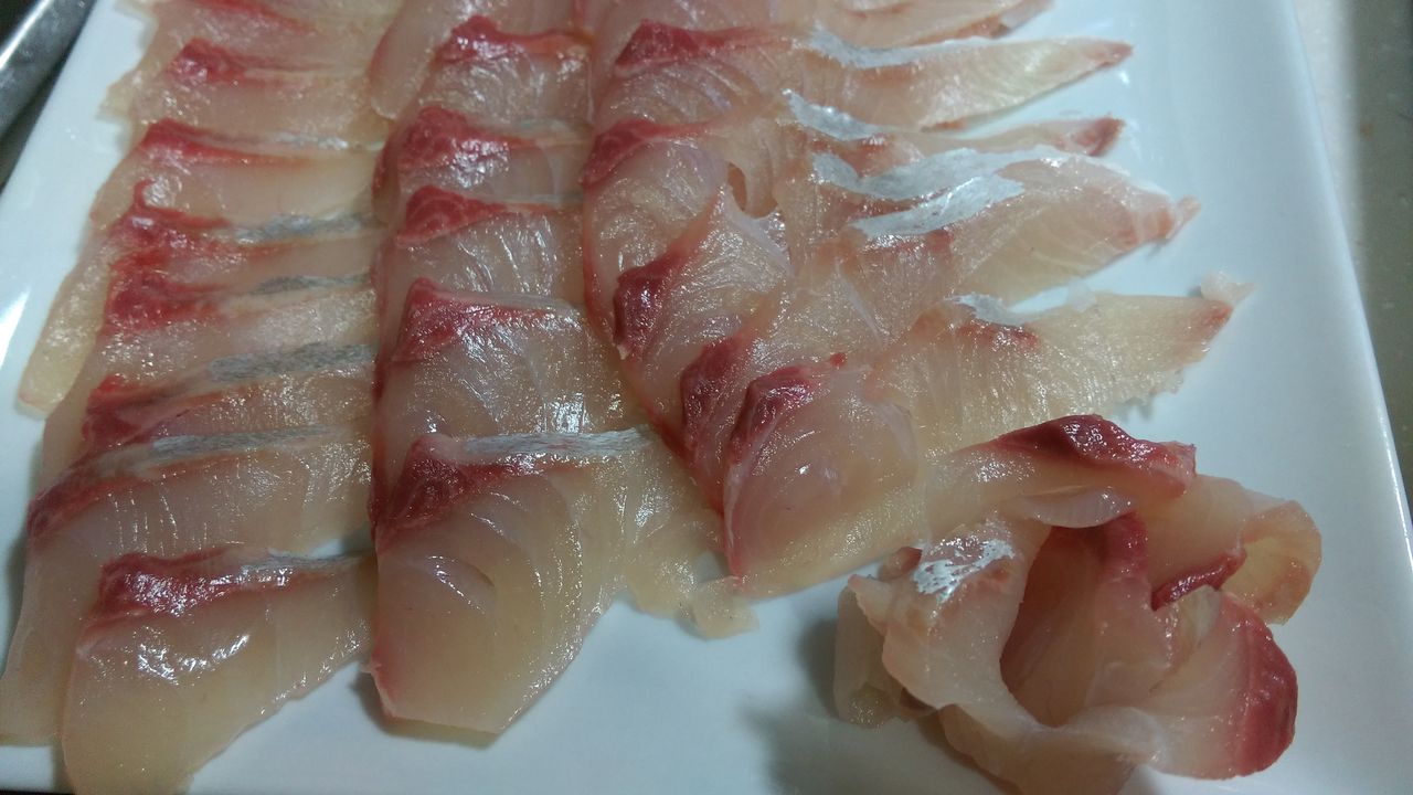 熟成 魚をおいしく食べよう ヒラマサ ラスト つりチクのウンチクblog 熟成 魚をおいしく食べよう ヒラマサ ラスト つりチクのウンチクblog