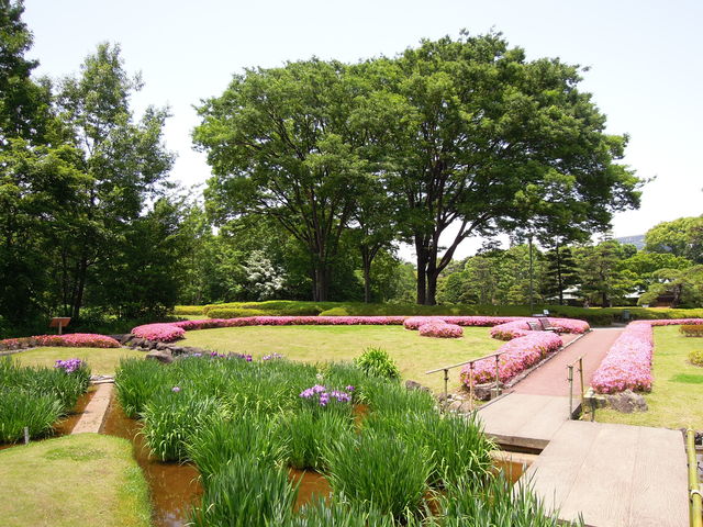 新緑ランチタイムコンサート 皇居東御苑 アウトドア剱猫の Enjoy おひとりさまライフ